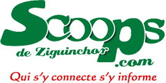 logo small 2